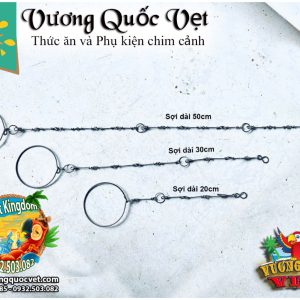 Dây Xích Chân Vẹt Ringneck 1.1li inox chắc chắn - Ảnh 7