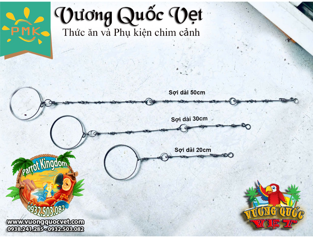Dây Xích Chân Vẹt Ringneck 1.1li inox chắc chắn - Ảnh 7