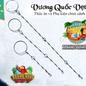 Dây Xích Chân Vẹt Ringneck 1.1li inox chắc chắn - Ảnh 6