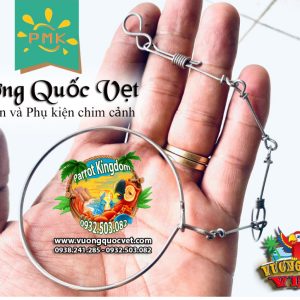 Dây Xích Chân Vẹt Ringneck 1.1li inox chắc chắn - Ảnh 4