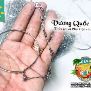 Dây Xích Chân Vẹt Ringneck 1.1li inox chắc chắn - Ảnh 3