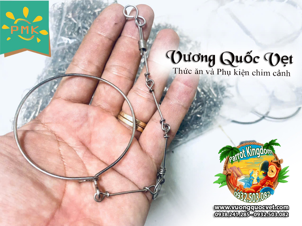 Dây Xích Chân Vẹt Ringneck 1.1li inox chắc chắn - Ảnh 3
