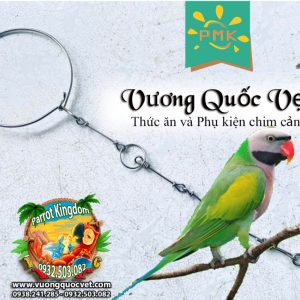 Dây Xích Chân Vẹt Ngực Hồng Inox Chống Xoắn Cao Cấp