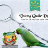 Dây Xích Chân Vẹt Ringneck 1.1li inox chắc chắn