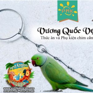 Dây Xích Chân Vẹt Ringneck 1.1li inox chắc chắn