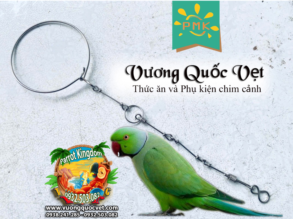 Dây Xích Chân Vẹt Ringneck 1.1li inox chắc chắn