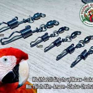 Chi tiết so sánh móc khóa 2li cho vẹt macaw và móc khóa 1.5li cho vẹt xám
