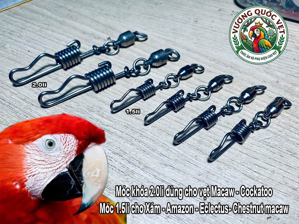 Chi tiết so sánh móc khóa 2li cho vẹt macaw và móc khóa 1.5li cho vẹt xám