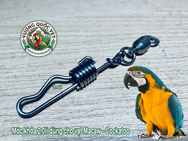 Móc khóa 2.0li kèm chống xoắn dùng cho vẹt Macaw và Cockatoo