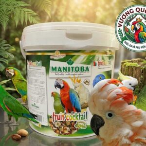 Hạt thức ăn cho vẹt Fruit cocktail thùng 4kg cho vẹt lớn sử dụng