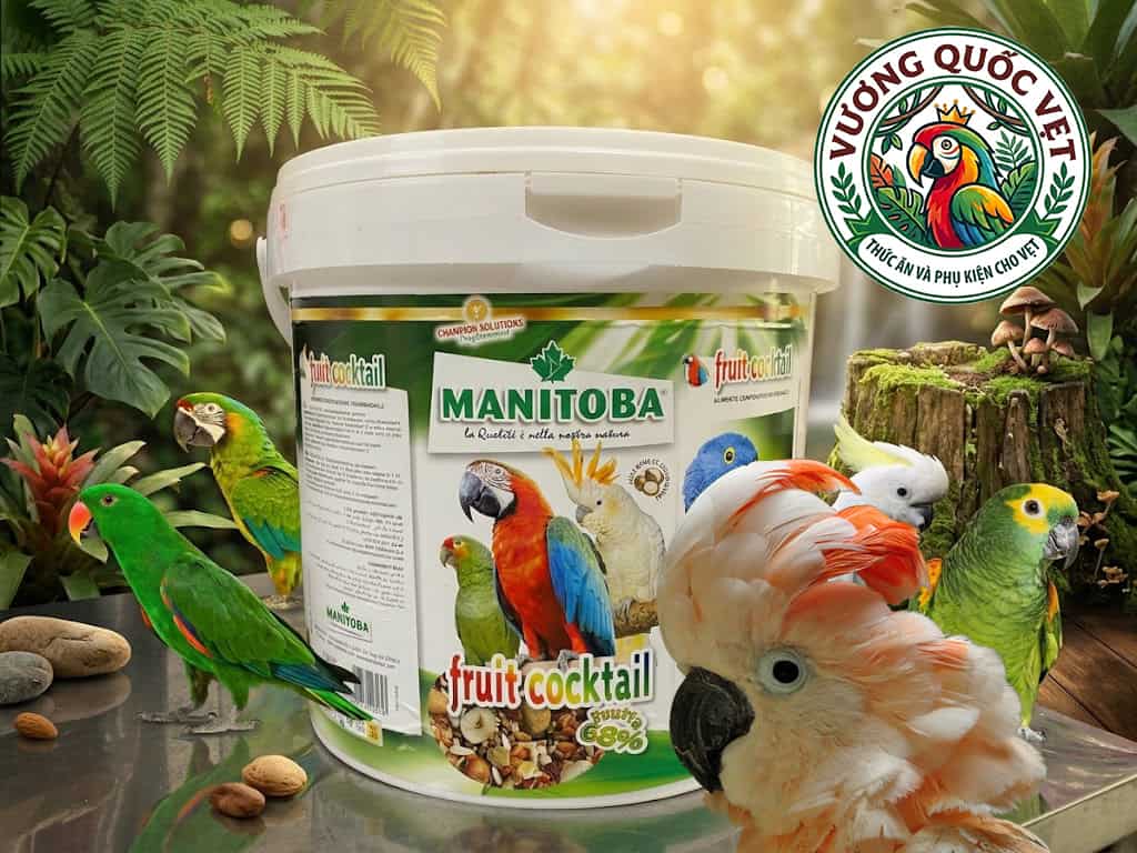Hạt thức ăn cho vẹt Fruit cocktail thùng 4kg cho vẹt lớn sử dụng