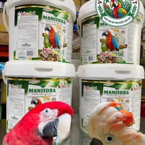 Hạt thức ăn cho vẹt Fruit cocktail thùng 4kg manitoba cho vẹt