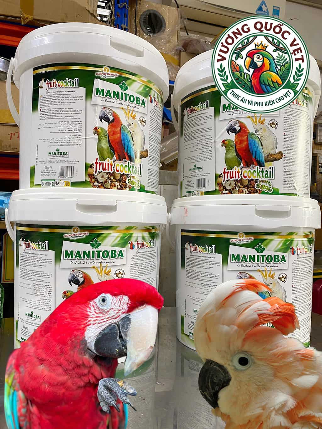 Hạt thức ăn cho vẹt Fruit cocktail thùng 4kg manitoba cho vẹt