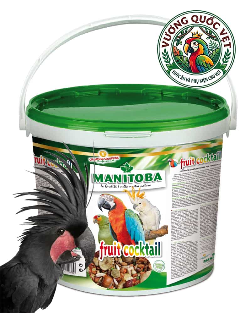 Hạt thức ăn cho vẹt Fruit cocktail thùng 4kg manitoba cho vẹt cockatoo
