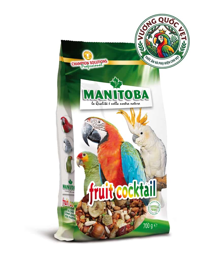 Fruit Cocktail túi 700gr cho vẹt - Dinh dưỡng trái cây sấy khô cho vẹt