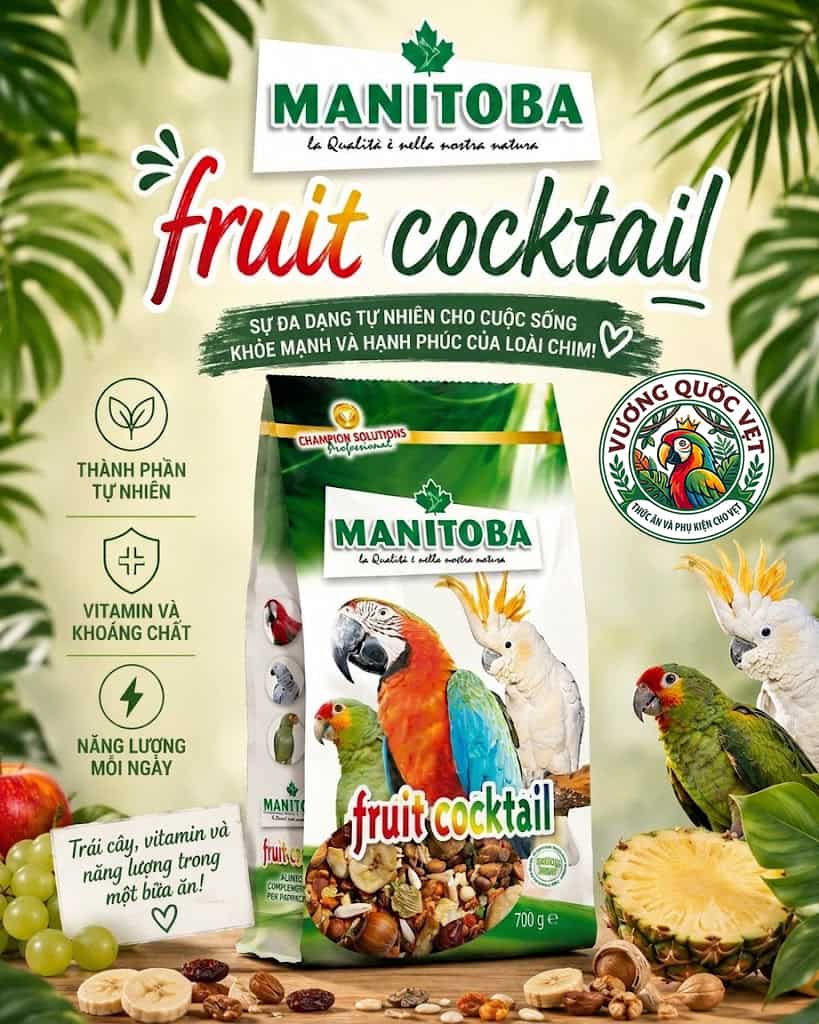Hạt thức ăn Fruit cocktail Manitoba túi 700g giàu dinh dưỡng