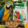 Thức Ăn Trái Cây & Hạt Cao Cấp Cho Vẹt Manitoba Fruit Cocktail 700g