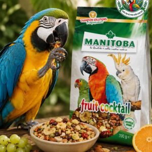 Thức Ăn Trái Cây & Hạt Cao Cấp Cho Vẹt Manitoba Fruit Cocktail 700g