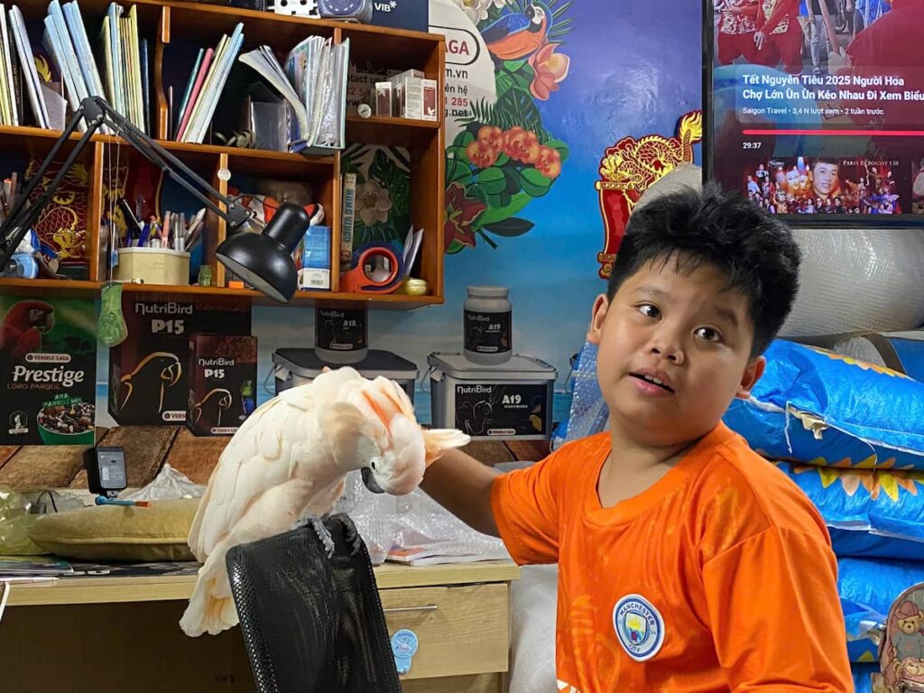 Cho vẹt đậu trên tay thoải mái sau khi dũa móng chân