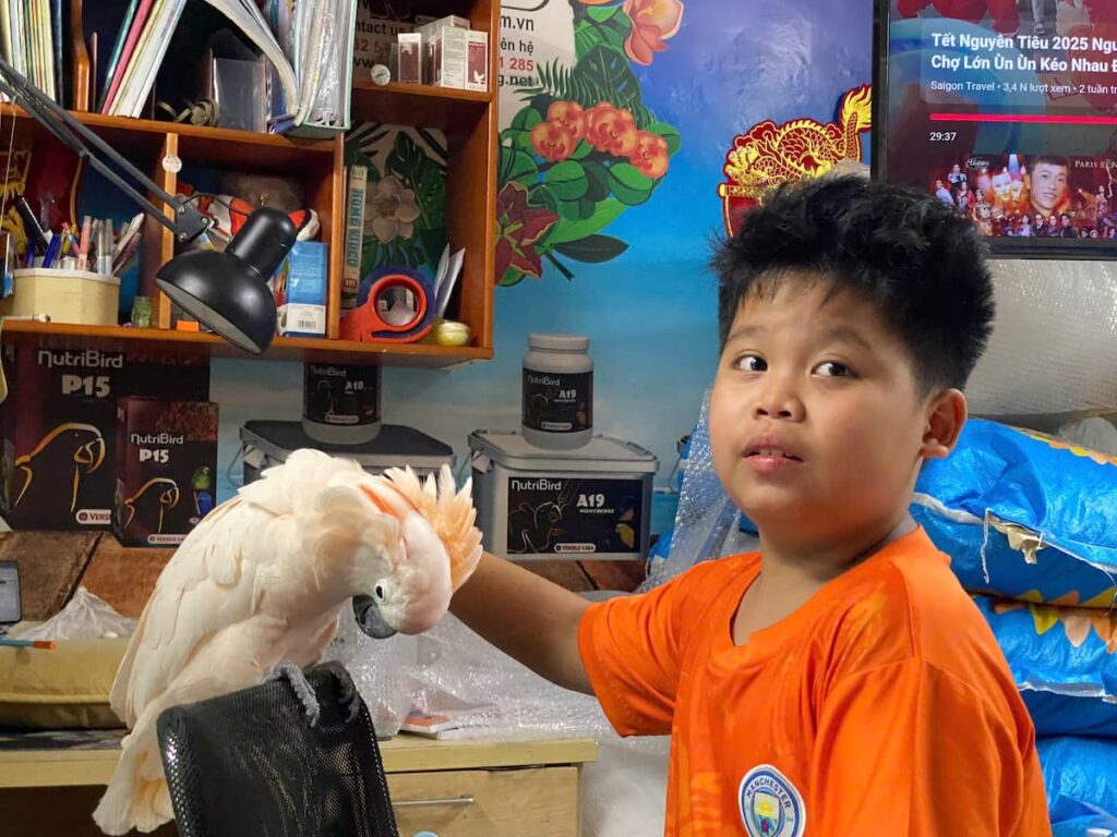 Chăm sóc móng chân vẹt cảnh định kỳ tại Vương Quốc Vẹt