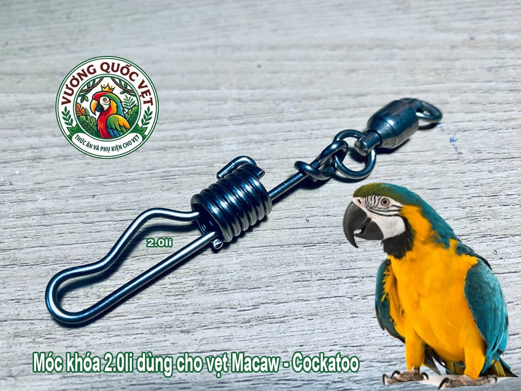 Cận cảnh khớp xoay 360 độ chống xoắn dây chân vẹt Macaw 2.0li
