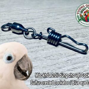 Móc khóa chân vẹt kèm chống xoắn dùng cho vẹt blue eye cockatoo