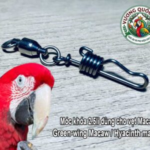 Móc Khóa Đeo Chân Vẹt Green-winged Macaw Cọng 2.5li Inox Chống Xoắn