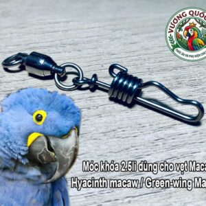 Móc Khóa Đeo Chân Vẹt Hyacinth Macaw Cọng 2.5li Inox Chống Xoắn