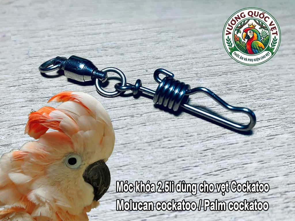 Móc khóa chân vẹt kèm chống xoắn cho vẹt Molucan Cockatoo