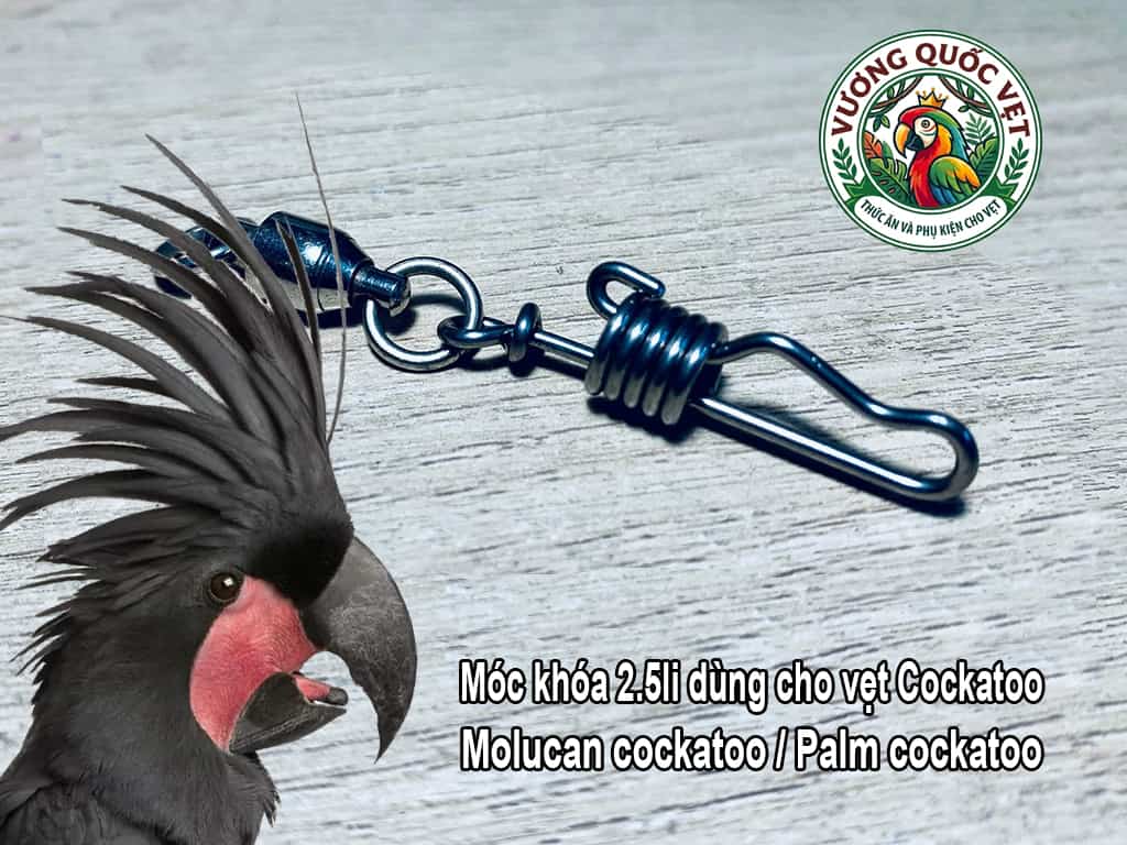 Móc khóa đeo chân kèm chống xoắn dùng cho vẹt Palm, inox 2.5li siêu bền và an toàn cho vẹt