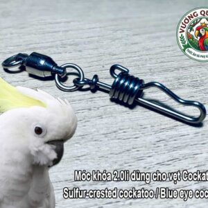 Móc khóa chân vẹt kèm chống xoắn cho vẹt Sulfur crested cockatoo