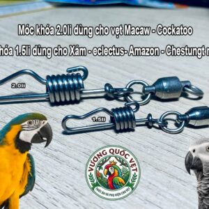 So sánh móc khóa 2.0li (Macaw, Cockatoo) và 1.5li (Xám, Amazon)