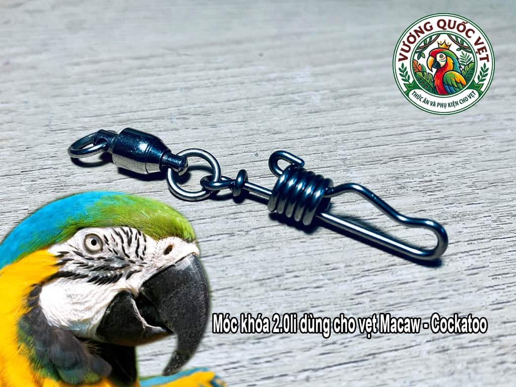Móc khóa đeo chân vẹt Blue and Gold Macaw