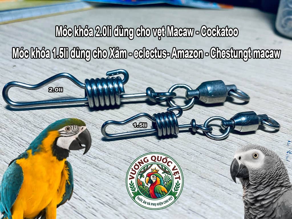 So sánh móc khóa 2.0li (Macaw, Cockatoo) và 1.5li (Xám, Amazon)