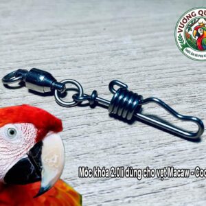 Móc khóa đeo chân vẹt Scarlet Macaw