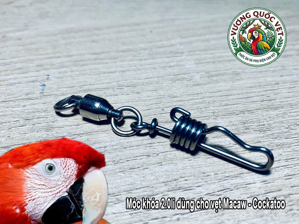 Móc khóa 2.0li kèm chống xoắn dùng cho vẹt Scarlet Macaw