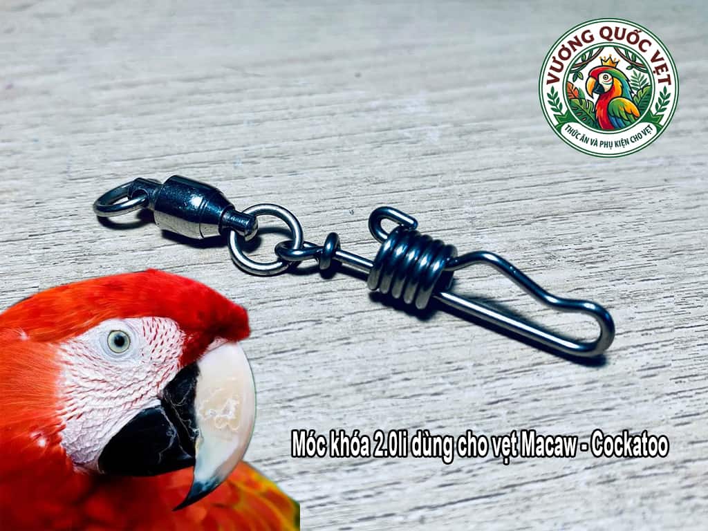 Móc khóa đeo chân vẹt Scarlet Macaw