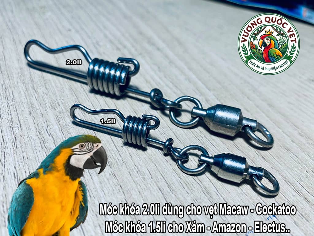 So sánh kích thước móc khóa 2.0li cho Macaw và 1.5li cho vẹt Xám Amazon