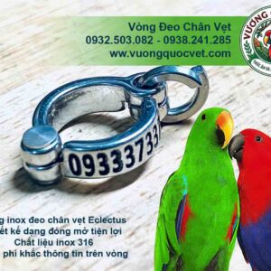 Vòng inox đeo chân vẹt khắc số điện thoại kèm chim Eclectus