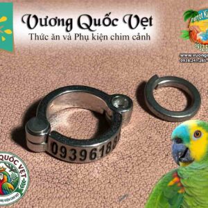 Vòng inox đeo chân vẹt Amazon chuẩn size 13