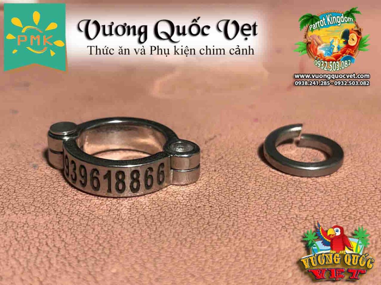 Vòng inox đeo chân vẹt