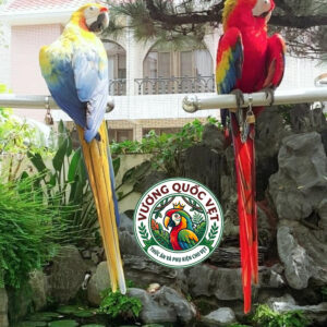xích chân vẹt macaw- cockatoo mẫu mới