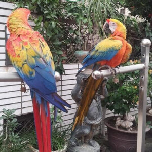 Xích chân vẹt macaw mẫu mới dùng ổ khóa chắc chắn