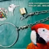 Xích Chân Vẹt Macaw sử dụng ổ khóa đồng chắc chắn