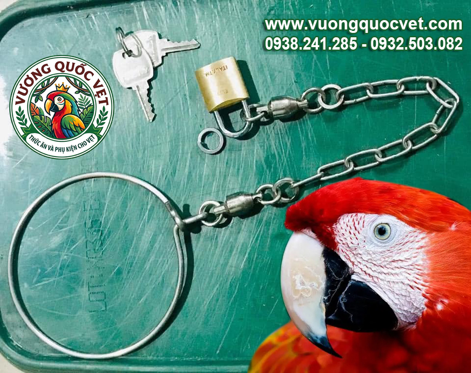 Xích chân vẹt Macaw ổ khóa đồng siêu bền