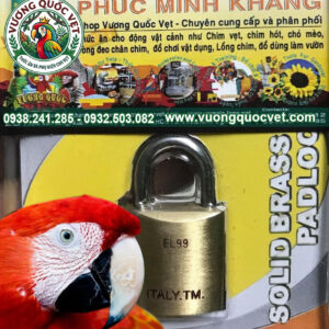 Xích chân vẹt Macaw ổ khóa đồng chắn chắn